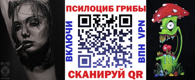 где найти наркотики  Балей  Галлюциногенные грибы мицелий 